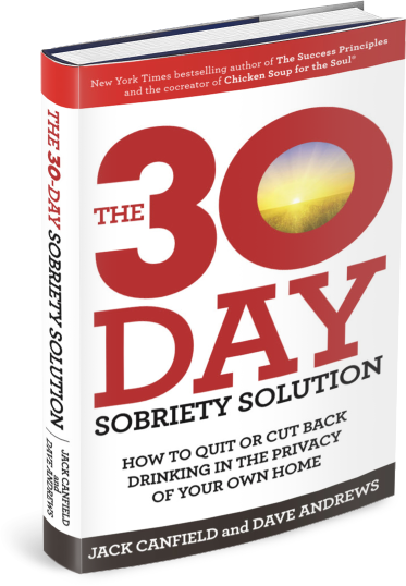 The-30-Day-Sobriety-Solution-Book