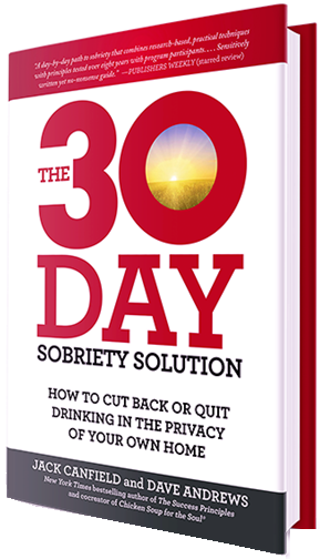Purchase The 30-Day Sobriety Solution
